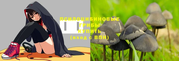 экстази Арсеньев
