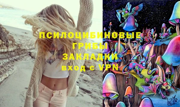 экстази Дмитровск