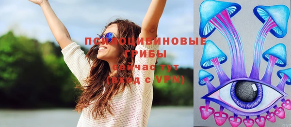 таблы Дмитров