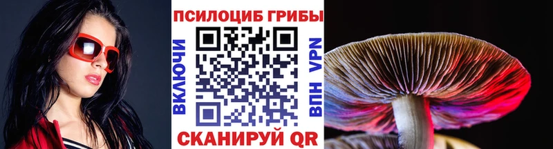 маркетплейс как зайти  Советский  Галлюциногенные грибы GOLDEN TEACHER 